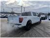 2025 Ford F-150 XLT (Stk: F1383) in Miramichi - Image 5 of 13