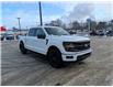 2025 Ford F-150 XLT (Stk: F1383) in Miramichi - Image 7 of 13