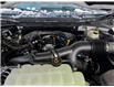 2025 Ford F-150 XLT (Stk: F1383) in Miramichi - Image 13 of 13