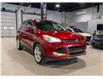 2014 Ford Escape Titanium (Stk: R68300) in Calgary - Image 3 of 24
