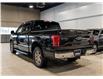2015 Ford F-150 Lariat (Stk: R69144) in Calgary - Image 6 of 24