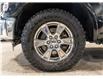 2015 Ford F-150 Lariat (Stk: R69144) in Calgary - Image 8 of 24