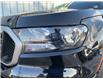 2020 Ford Ranger XLT (Stk: 25P175) in Kamloops - Image 8 of 25