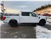 2025 Ford F-150 Lariat (Stk: 5T147) in Williams Lake - Image 6 of 11