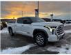 2022 Toyota Tundra Platinum (Stk: 5S020A) in Williams Lake - Image 7 of 14