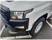 2024 Nissan Frontier Hardbody Edition (Stk: PV4384) in Cornwall - Image 10 of 30