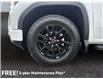 2025 GMC Sierra 1500 Pro (Stk: 219248) in AIRDRIE - Image 14 of 15