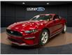 2019 Ford Mustang EcoBoost (Stk: 25103B) in Melfort - Image 1 of 14