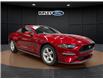 2019 Ford Mustang EcoBoost (Stk: 25103B) in Melfort - Image 3 of 14