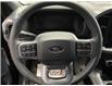 2025 Ford F-150 XLT (Stk: 25522) in Melfort - Image 19 of 22