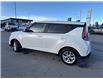 2023 Kia Soul EX (Stk: 7210420K) in Cranbrook - Image 3 of 20