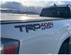 2023 Toyota Tacoma Base (Stk: T099906A) in Cranbrook - Image 19 of 20