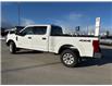 2022 Ford F-250 XLT (Stk: X340531B) in Cranbrook - Image 3 of 20