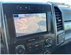 2022 Ford F-250 XLT (Stk: X340531B) in Cranbrook - Image 16 of 20