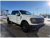 2025 Ford F-150 Tremor (Stk: 25872) in High River - Image 8 of 15