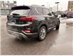 2019 Hyundai Santa Fe  (Stk: 251578) in Ottawa - Image 3 of 30