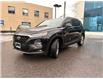 2019 Hyundai Santa Fe  (Stk: 251578) in Ottawa - Image 7 of 30
