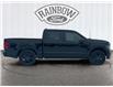 2025 Ford F-150 STX (Stk: 25T163) in ROCKY MOUNTAIN HOUSE - Image 6 of 15