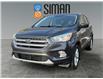 2017 Ford Escape SE (Stk: P3317) in Regina - Image 1 of 20