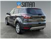 2017 Ford Escape SE (Stk: P3317) in Regina - Image 3 of 20