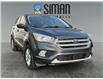 2017 Ford Escape SE (Stk: P3317) in Regina - Image 7 of 20
