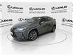 2024 Lexus UX 250h  (Stk: 14109405A) in Markham - Image 5 of 28