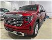 2024 GMC Sierra 1500 Denali (Stk: 13482) in Roblin - Image 6 of 15