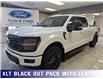 2025 Ford F-150 XLT (Stk: BA09955) in Shellbrook - Image 1 of 22