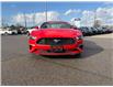 2021 Ford Mustang EcoBoost (Stk: P7325X) in Oakville - Image 5 of 24