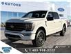 2023 Ford F-150 Tremor (Stk: SK-561A) in Okotoks - Image 1 of 25