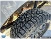 2023 Ford F-150 Tremor (Stk: SK-561A) in Okotoks - Image 6 of 25