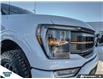 2023 Ford F-150 Tremor (Stk: SK-561A) in Okotoks - Image 7 of 25