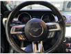 2019 Ford Mustang EcoBoost Premium (Stk: 24231B) in Melfort - Image 13 of 15
