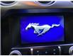 2019 Ford Mustang EcoBoost Premium (Stk: 24231B) in Melfort - Image 14 of 15