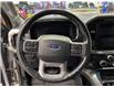 2021 Ford F-150 Lariat (Stk: 25249B) in Melfort - Image 18 of 19