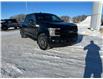 2018 Ford F-150 Lariat (Stk: U51336) in Hague - Image 2 of 13