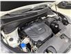 2017 Kia Sorento 3.3L LX V6 7-Seater (Stk: A9150-1-1) in Saint-Eustache - Image 29 of 29
