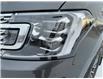 2019 Ford Expedition Platinum (Stk: N6065A) in Kamloops - Image 8 of 25