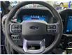 2025 Ford F-150 Lariat (Stk: 25510) in Melfort - Image 19 of 21