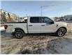 2024 Ford F-150 STX (Stk: S-1913A) in Calgary - Image 6 of 24