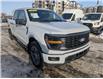 2024 Ford F-150 STX (Stk: S-1913A) in Calgary - Image 7 of 24