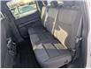 2024 Ford F-150 STX (Stk: S-1913A) in Calgary - Image 17 of 24