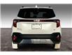 2024 Kia Seltos LX (Stk: 24A8049) in Sherwood Park - Image 4 of 29
