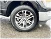 2021 Ford F-150  (Stk: DU8253T) in Ottawa - Image 4 of 15