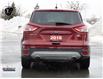 2016 Ford Escape SE (Stk: KA173A) in Ottawa - Image 4 of 23