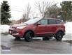 2016 Ford Escape SE (Stk: KA173A) in Ottawa - Image 6 of 23