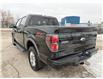 2014 Ford F-150 FX4 (Stk: 8590AA) in Cambridge - Image 5 of 34