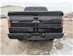 2014 Ford F-150 FX4 (Stk: 8590AA) in Cambridge - Image 6 of 34