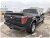 2014 Ford F-150 FX4 (Stk: 8590AA) in Cambridge - Image 7 of 34