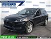 2021 Ford Escape SE (Stk: P3975L) in Dartmouth - Image 1 of 24